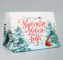 Пакет подарочный «Новогодние чудеса», 25 × 19 × 18 см Изображение Пакет подарочный «Новогодние чудеса», 25 × 19 × 18 см